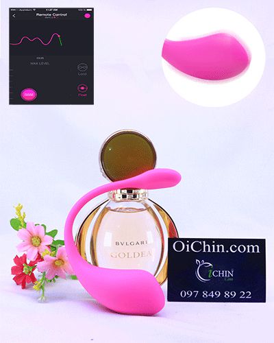  Địa chỉ bán Lush 2 siêu phẩm của Lovense điều khiển Bluetooth không giới hạn  giá tốt 